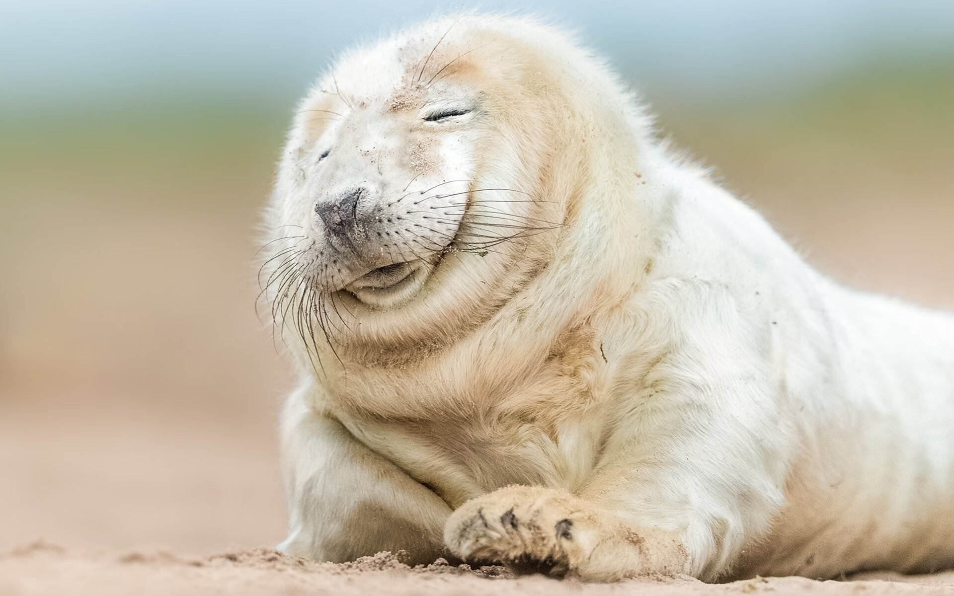 数据狂魔：联盟中的统计达人和他们的分析报告，数据 统计