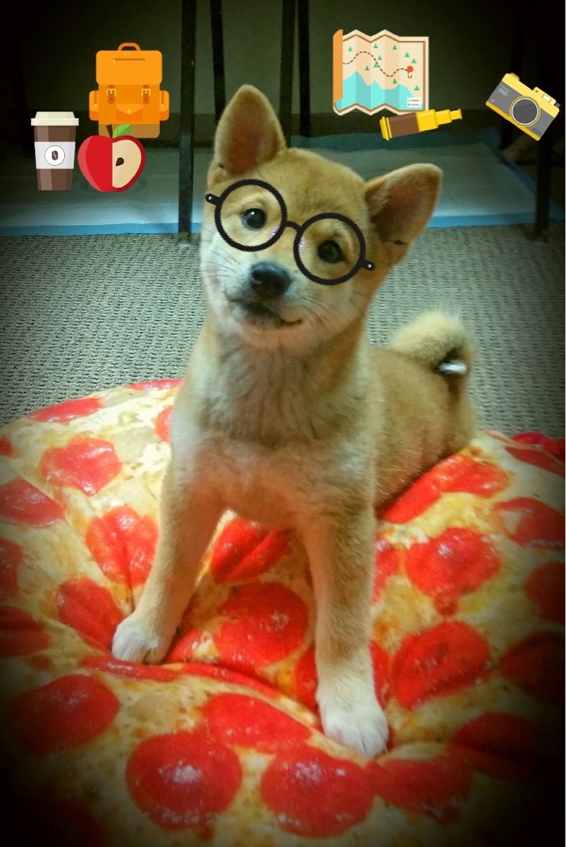 九游官网pc-今年NBA联盟三分命中率排名前十的队伍分析，今年nba联盟三分命中率排名前十的队伍分析